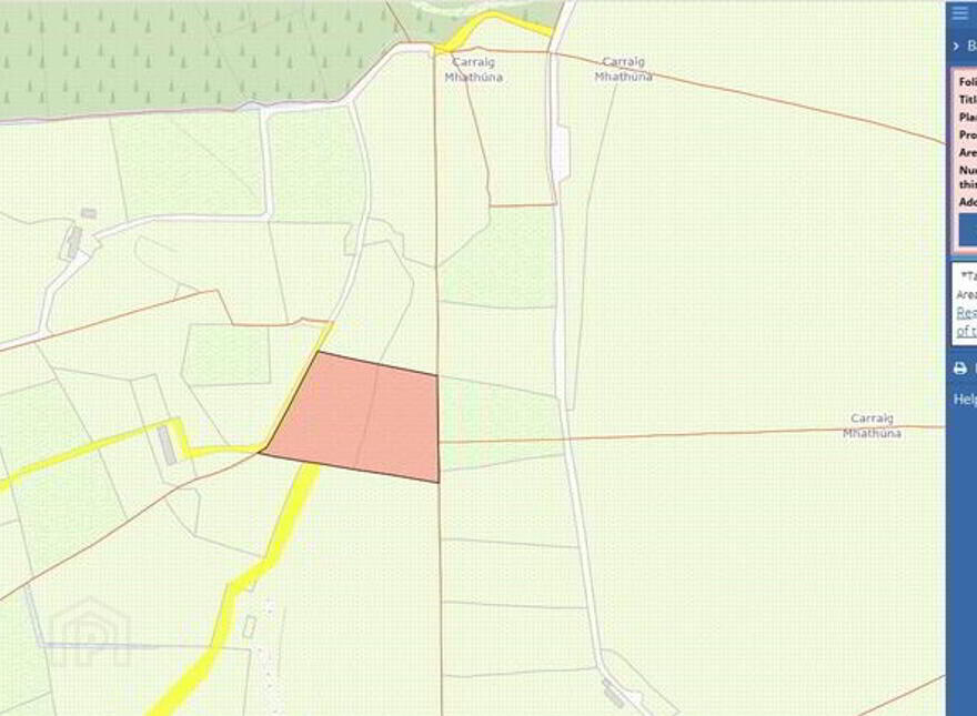 Carrickmahon, Altnapaste