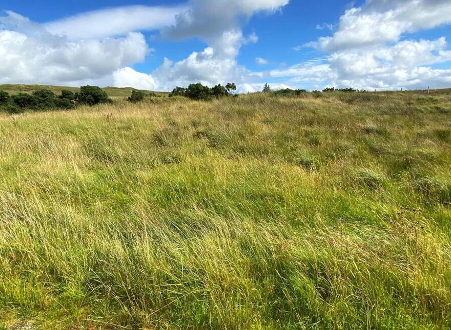 Carrickmahon, Altnapaste