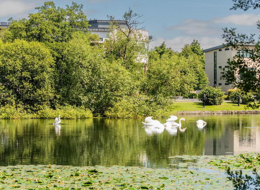 Apartment 268 Block 5 Parklands, Dublin 9, D09XD83