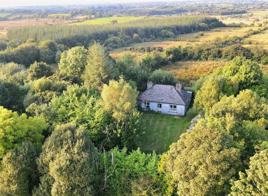 Briarfield, Lisacul, Lisacul, F45CK80