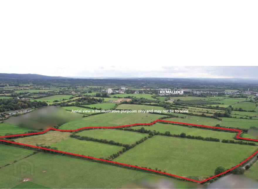Bawntard, Kilmallock