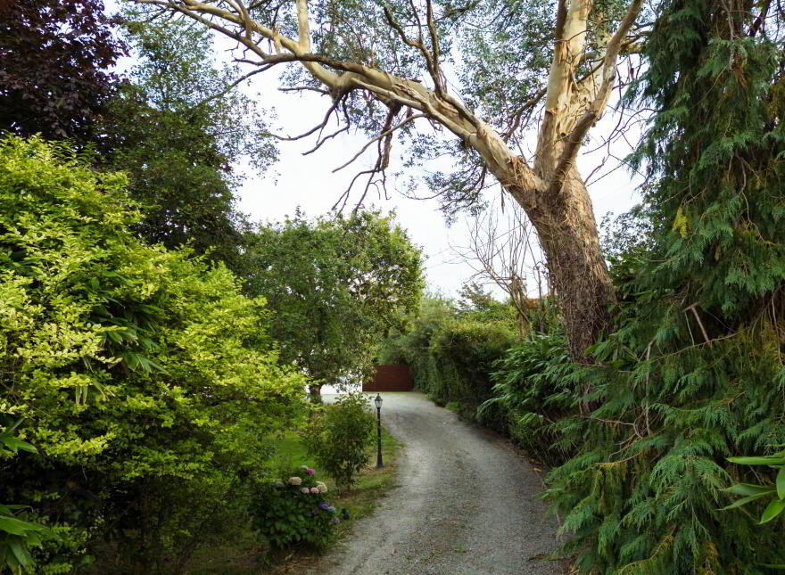 Glenview, Baltimore Road, Skibbereen, P81CX83