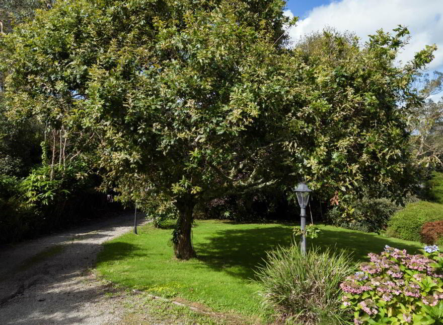 Glenview, Baltimore Road, Skibbereen, P81CX83