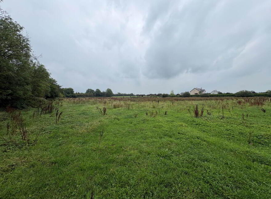 Ballyrobin, Newcastle West