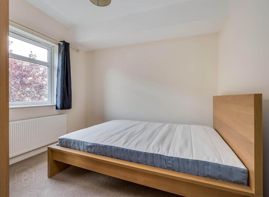 15 Lorne Street, Belfast, BT9 7DU
