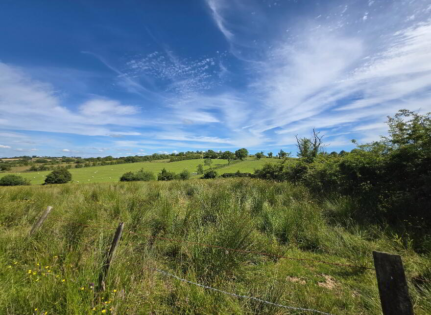 21.75 Acre Farm & Dwelling House, 84 Dullaghan Road, Doughrock, Dromore, BT78 2NB