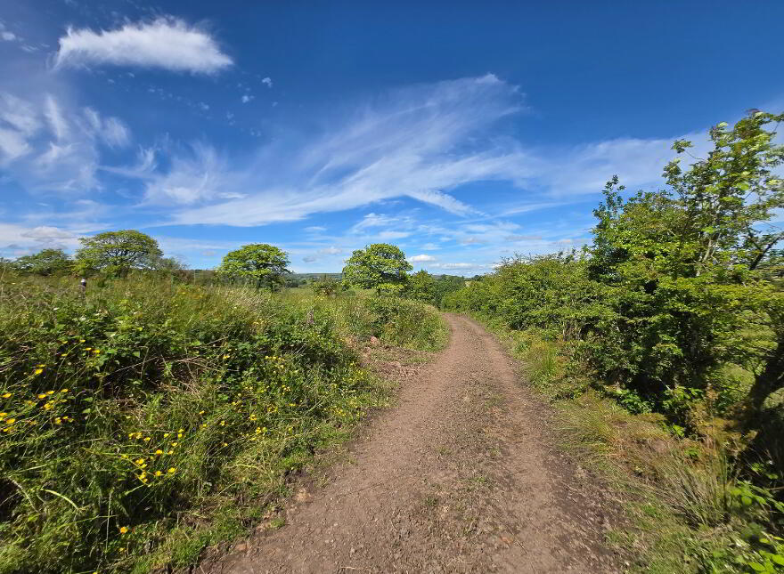 21.75 Acre Farm & Dwelling House, 84 Dullaghan Road, Doughrock, Dromore, BT78 2NB