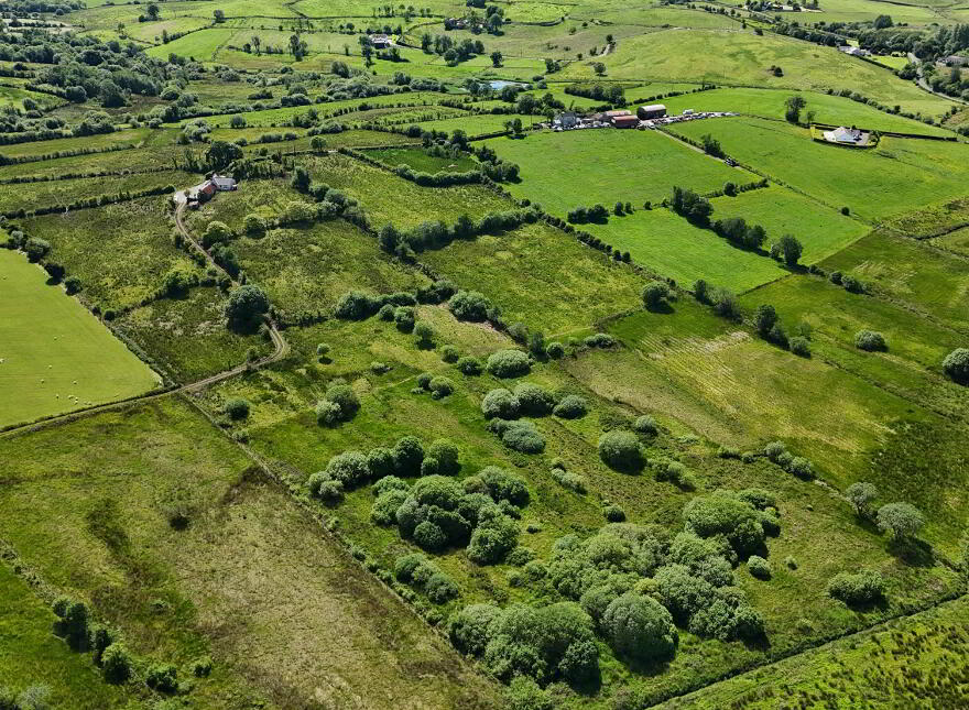 21.75 Acre Farm & Dwelling House, 84 Dullaghan Road, Doughrock, Dromore, BT78 2NB