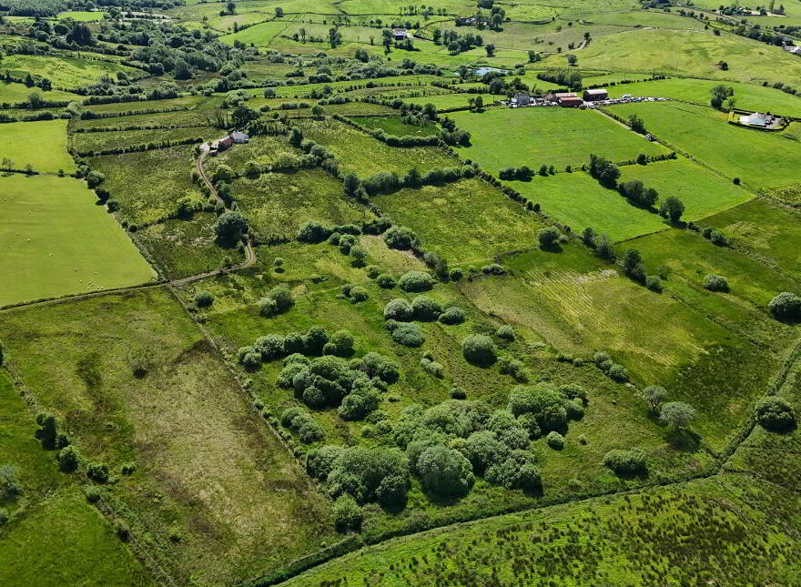 21.75 Acre Farm & Dwelling House, 84 Dullaghan Road, Doughrock, Dromore, BT78 2NB