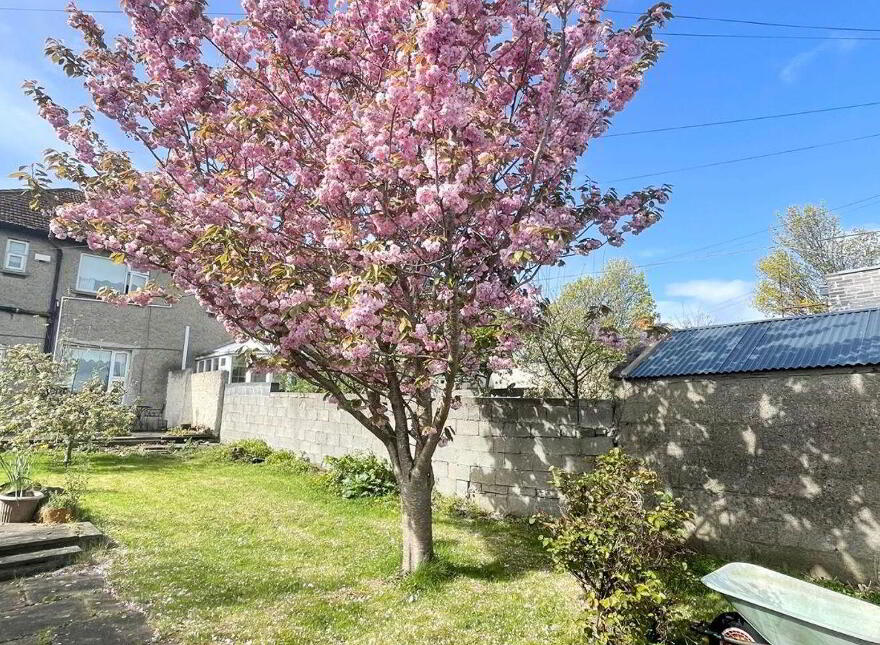 120 Collins Avenue, Whitehall, Whitehall, D09K6Y1