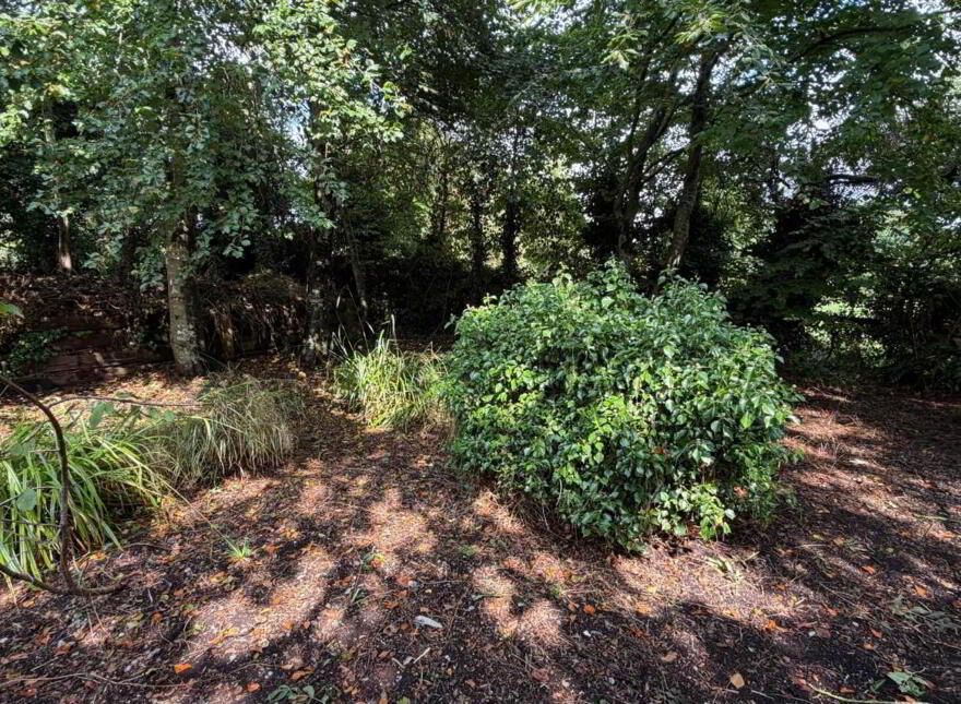 Ummeras Cottage On 0.37 Acres, Ummeras More, Monasterevin, W43X984