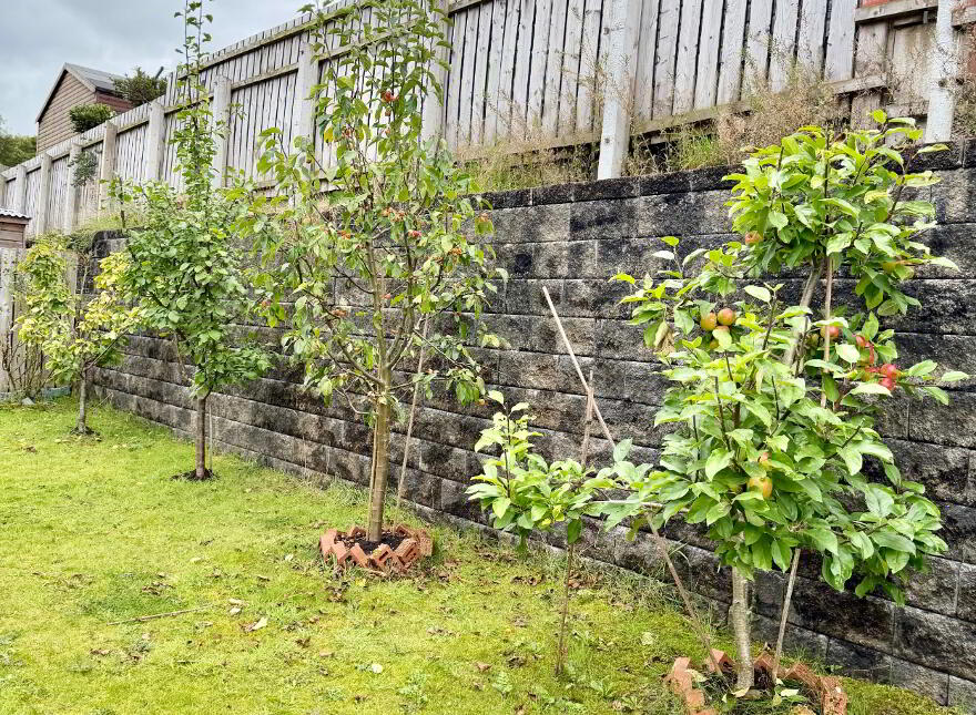 5 Spring Manor, Armagh, BT60 1HH
