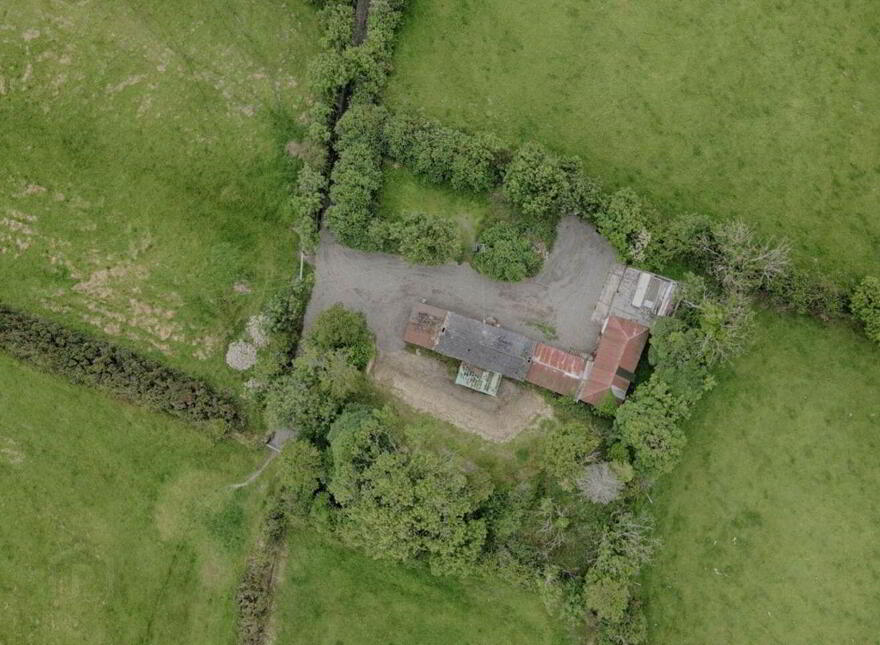 Lisagoan, Kingscourt