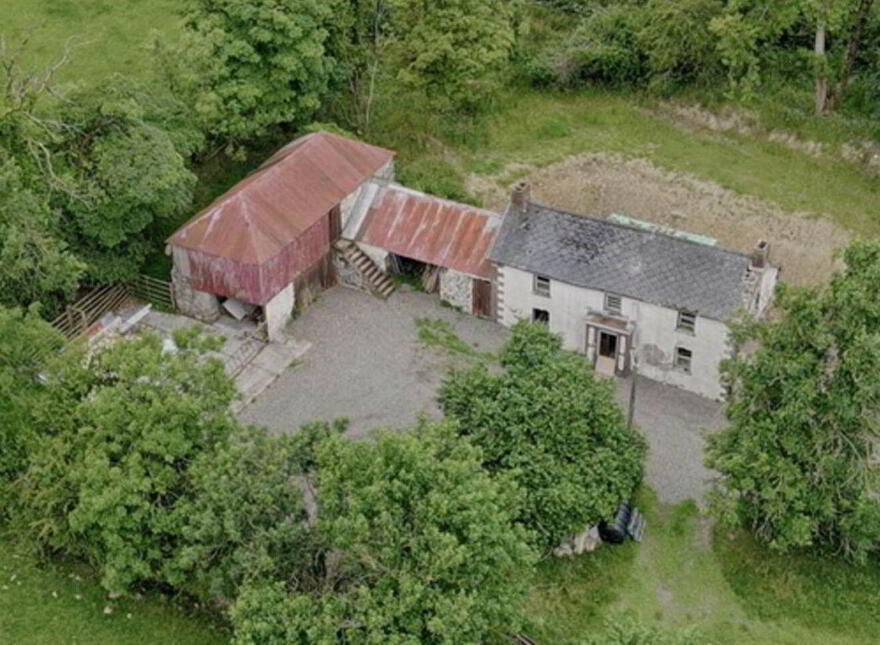 Lisagoan, Kingscourt