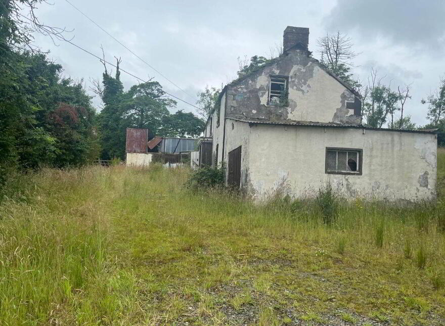 Lisagoan, Kingscourt