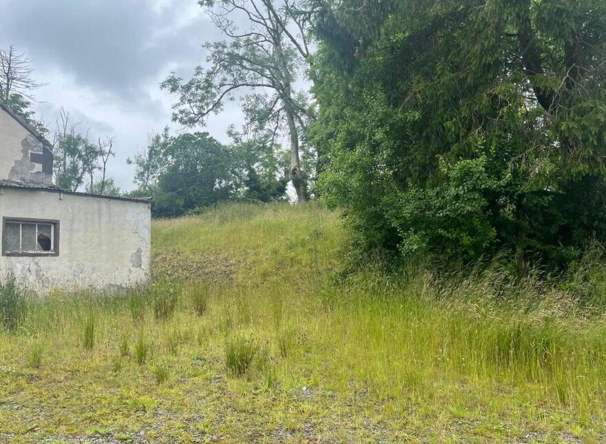Lisagoan, Kingscourt