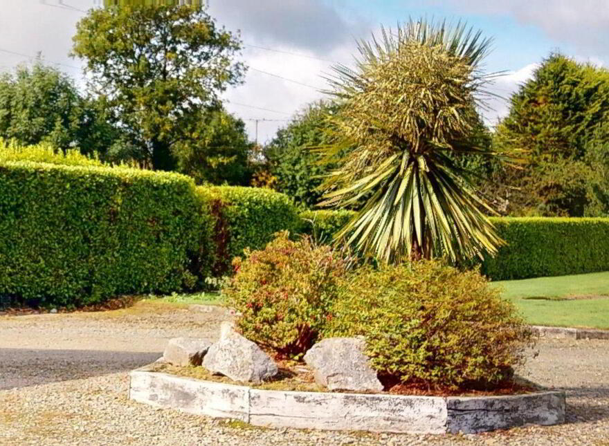Clonnasheeoge, Ballymurn, Y21R981