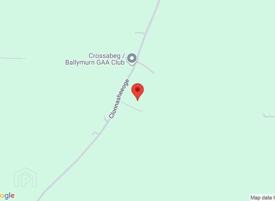 Clonnasheeoge, Ballymurn, Y21R981