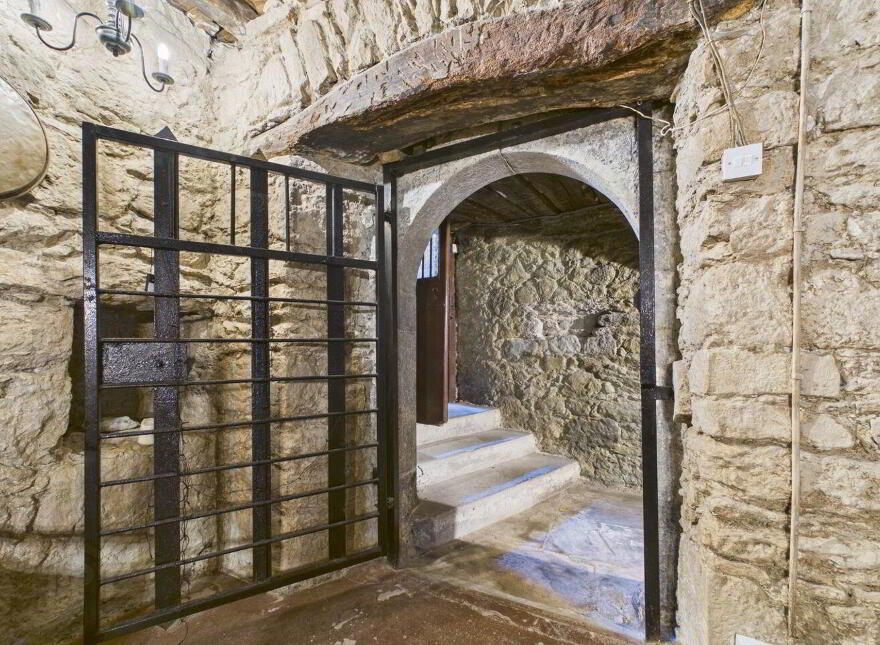 Emmel Castle, Emmel, Cloughjordan