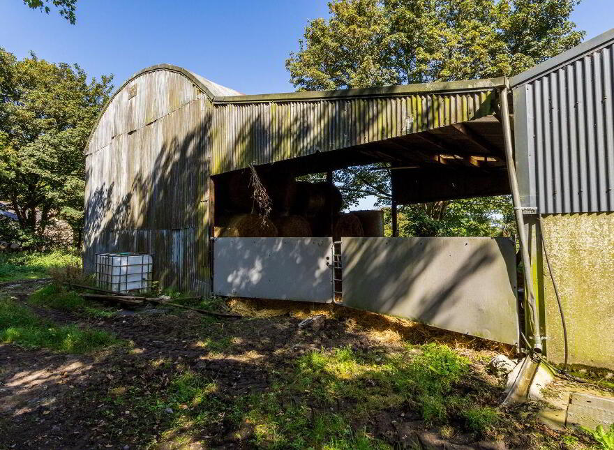 Moneenally, Williamstown, F45D763