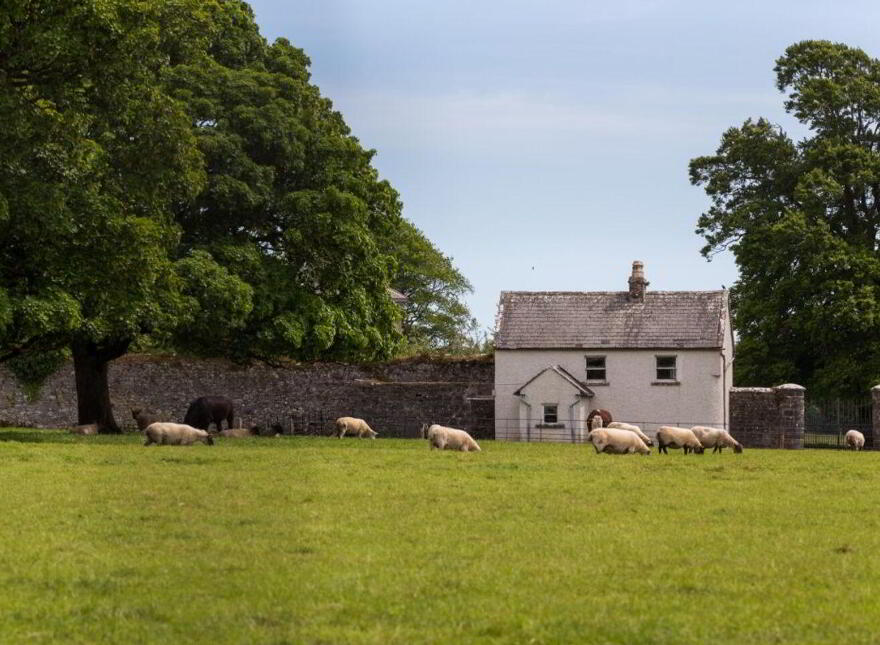Sopwell Hall Estate ( 100-Acres), Ballingarry North, E53YN99