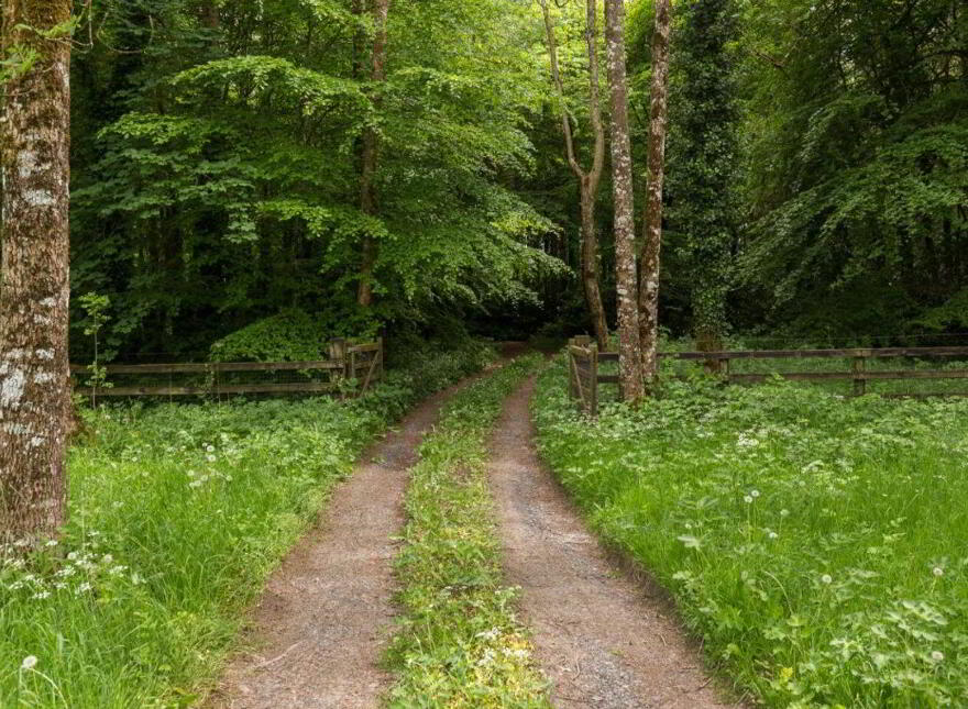 Sopwell Hall Estate ( 100-Acres), Ballingarry North, E53YN99
