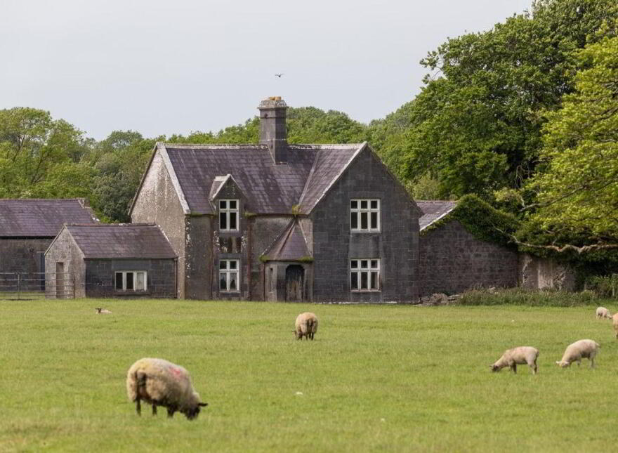 Sopwell Hall Estate ( 100-Acres), Ballingarry North, E53YN99