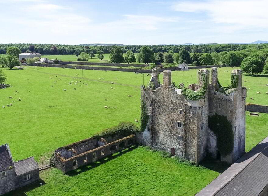 Sopwell Hall Estate ( 100-Acres), Ballingarry North, E53YN99