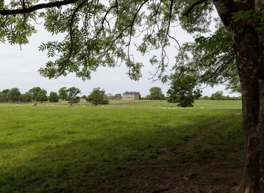 Sopwell Hall Estate ( 100-Acres), Ballingarry North, E53YN99