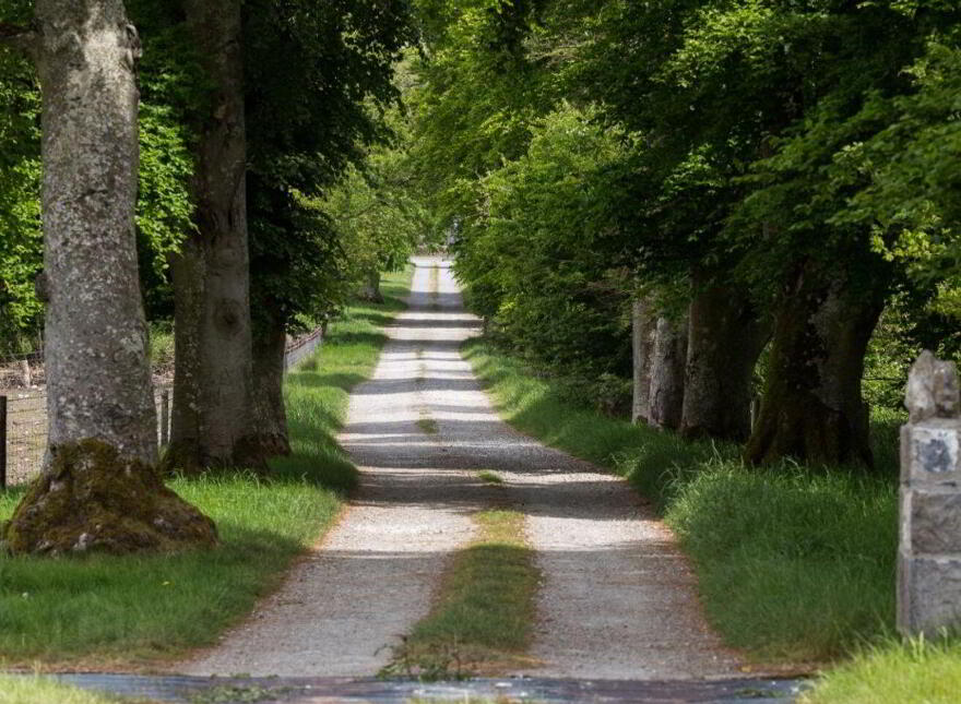 Sopwell Hall Estate ( 100-Acres), Ballingarry North, E53YN99