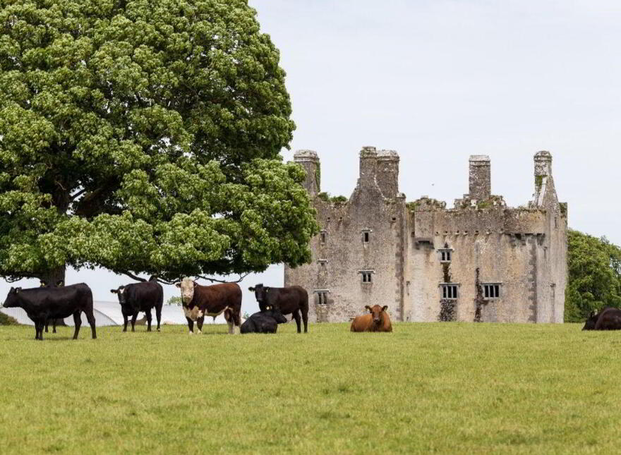 Sopwell Hall Estate ( 100-Acres), Ballingarry North, E53YN99