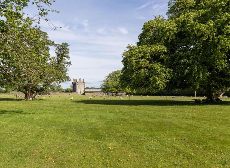 Sopwell Hall Estate ( 100-Acres), Ballingarry North, E53YN99