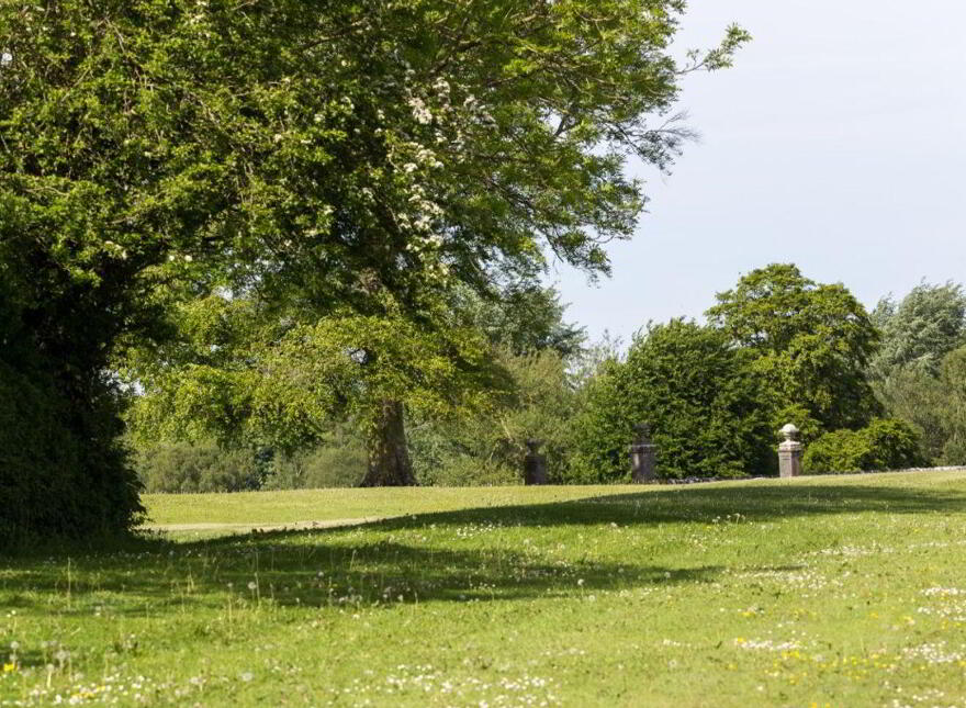 Sopwell Hall Estate ( 100-Acres), Ballingarry North, E53YN99