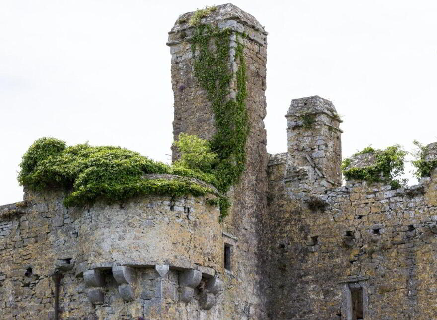 Sopwell Hall Estate ( 100-Acres), Ballingarry North, E53YN99