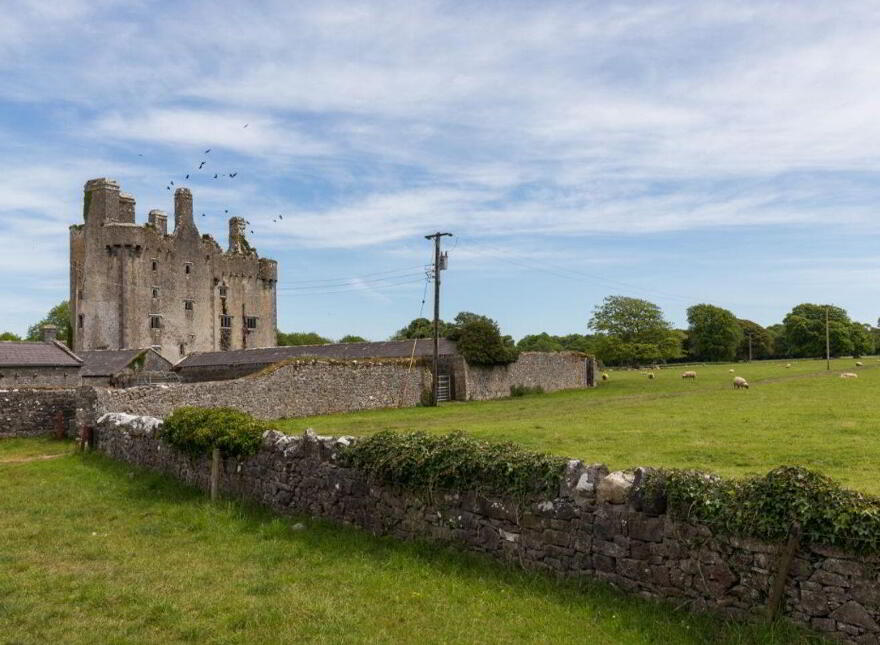 Sopwell Hall Estate ( 100-Acres), Ballingarry North, E53YN99
