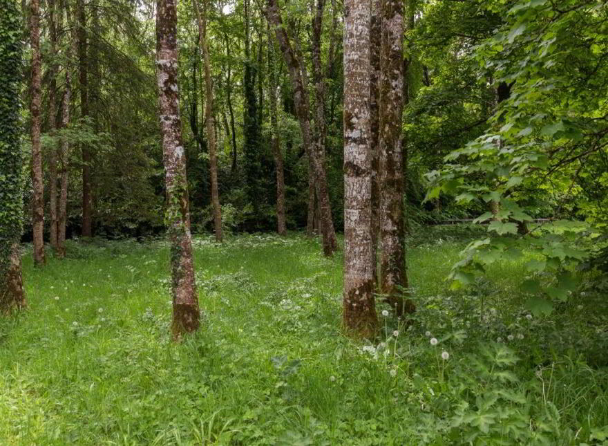 Sopwell Hall Estate ( 100-Acres), Ballingarry North, E53YN99