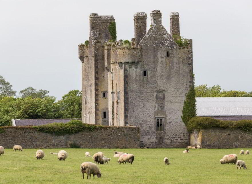 Sopwell Hall Estate ( 100-Acres), Ballingarry North, E53YN99