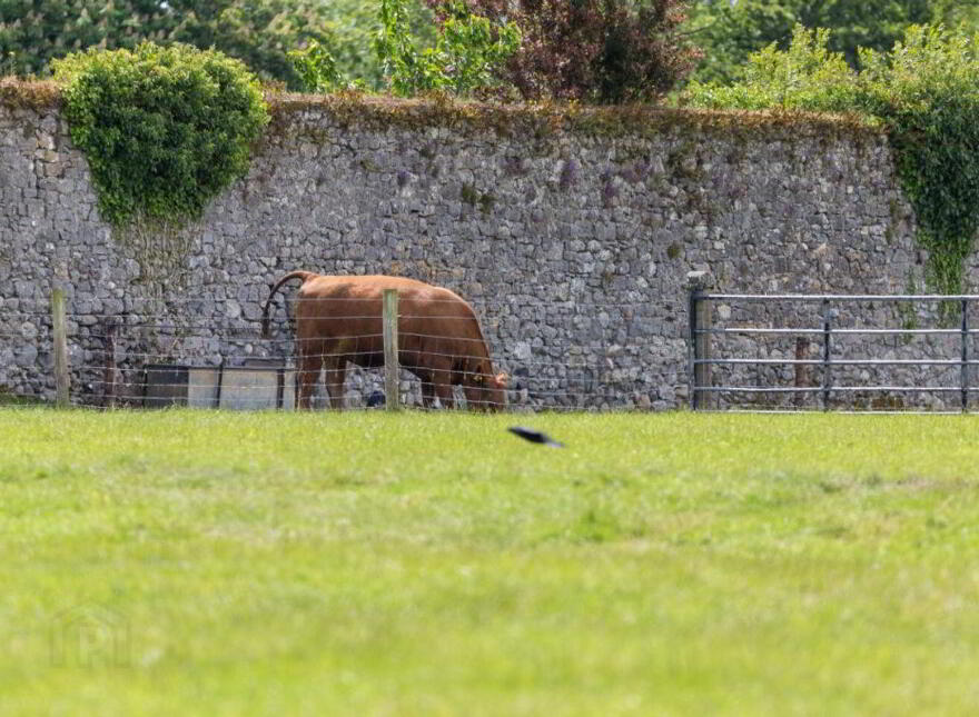 Sopwell Hall Estate ( 100-Acres), Ballingarry North, E53YN99