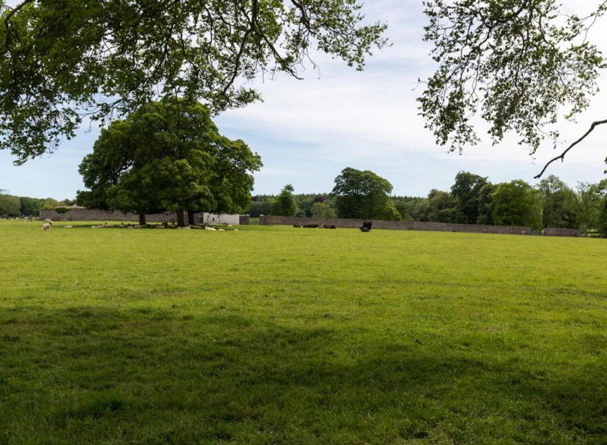 Sopwell Hall Estate ( 100-Acres), Ballingarry North, E53YN99