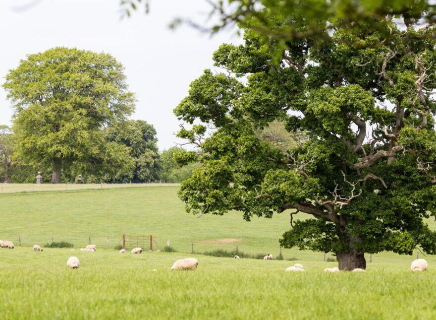 Sopwell Hall Estate ( 100-Acres), Ballingarry North, E53YN99