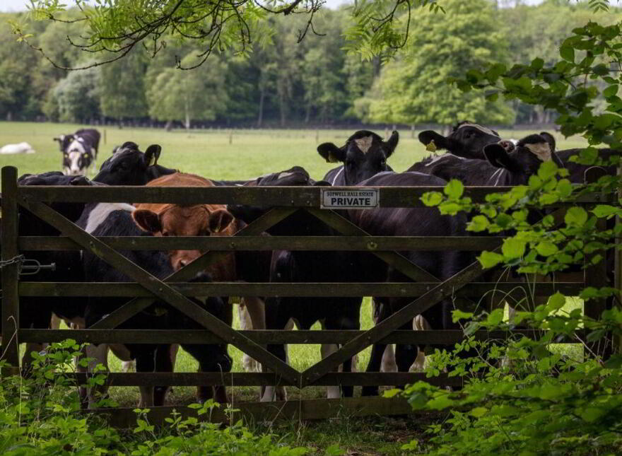 Sopwell Hall Estate ( 100-Acres), Ballingarry North, E53YN99