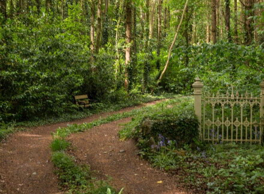 Sopwell Hall Estate ( 100-Acres), Ballingarry North, E53YN99