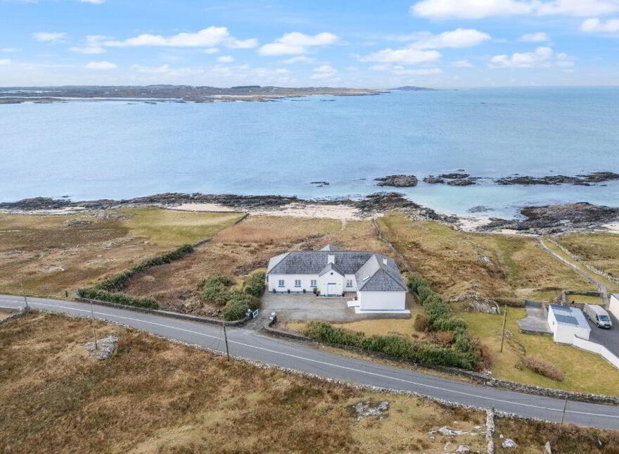 Blue Salmon, Ballyconneely, Ballyconneely, H71XK11