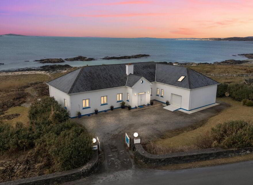 Blue Salmon, Ballyconneely, Ballyconneely, H71XK11