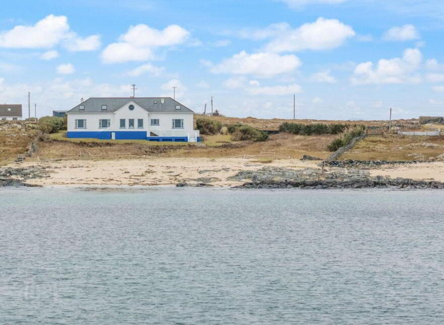 Blue Salmon, Ballyconneely, Ballyconneely, H71XK11