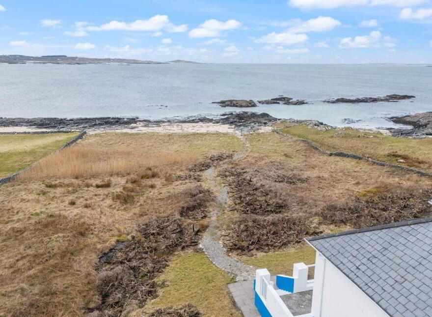 Blue Salmon, Ballyconneely, Ballyconneely, H71XK11