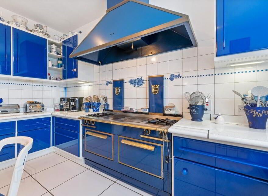 Blue Salmon, Ballyconneely, Ballyconneely, H71XK11