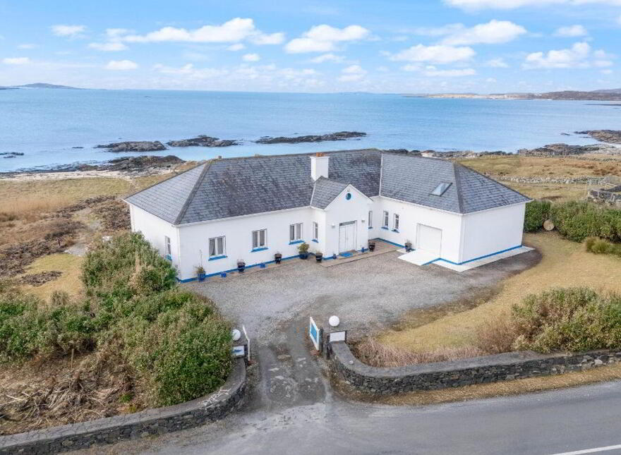 Blue Salmon, Ballyconneely, Ballyconneely, H71XK11
