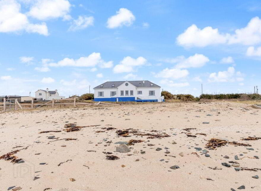 Blue Salmon, Ballyconneely, Ballyconneely, H71XK11