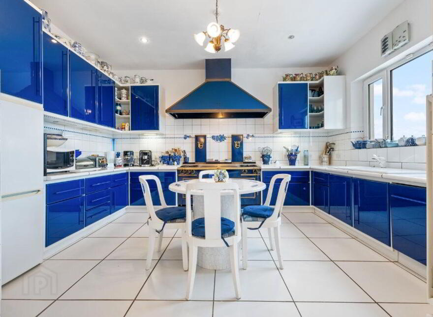 Blue Salmon, Ballyconneely, Ballyconneely, H71XK11